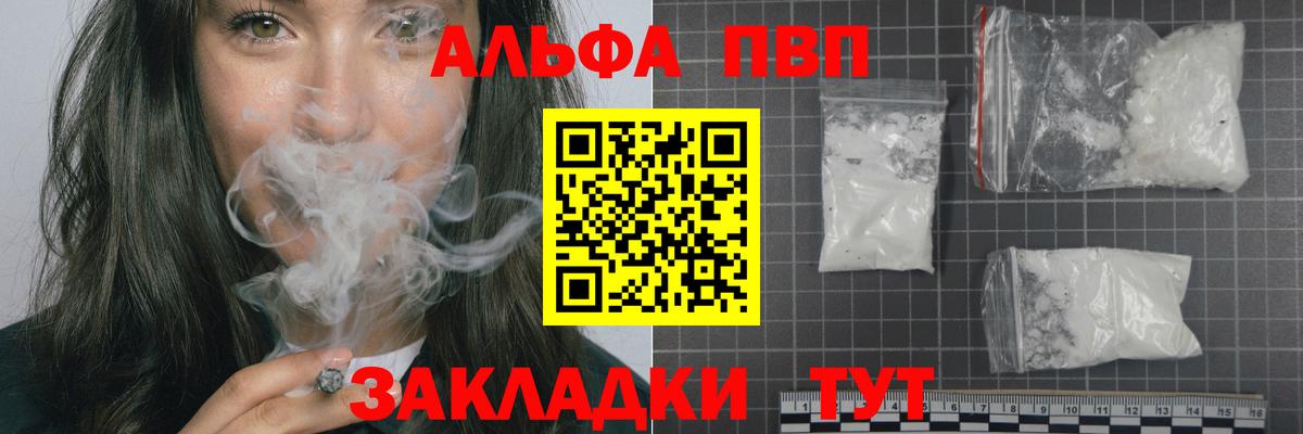 A PVP СК Элиста