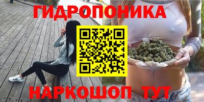 a pvp Малгобек