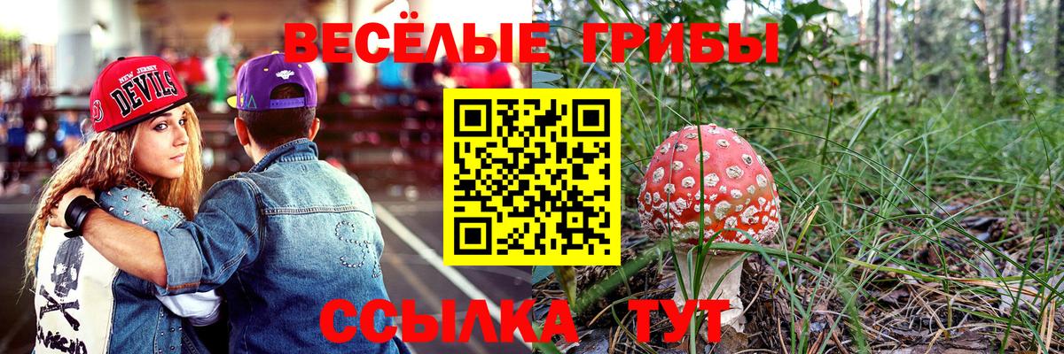  КОКАИН Элиста