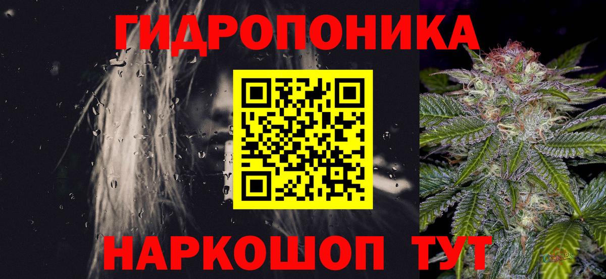 МАРИХУАНА ГИДРОПОН Элиста